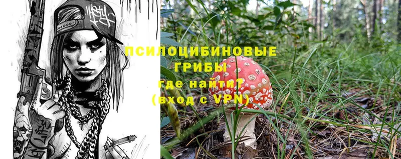 Галлюциногенные грибы Cubensis  сколько стоит  Малмыж 